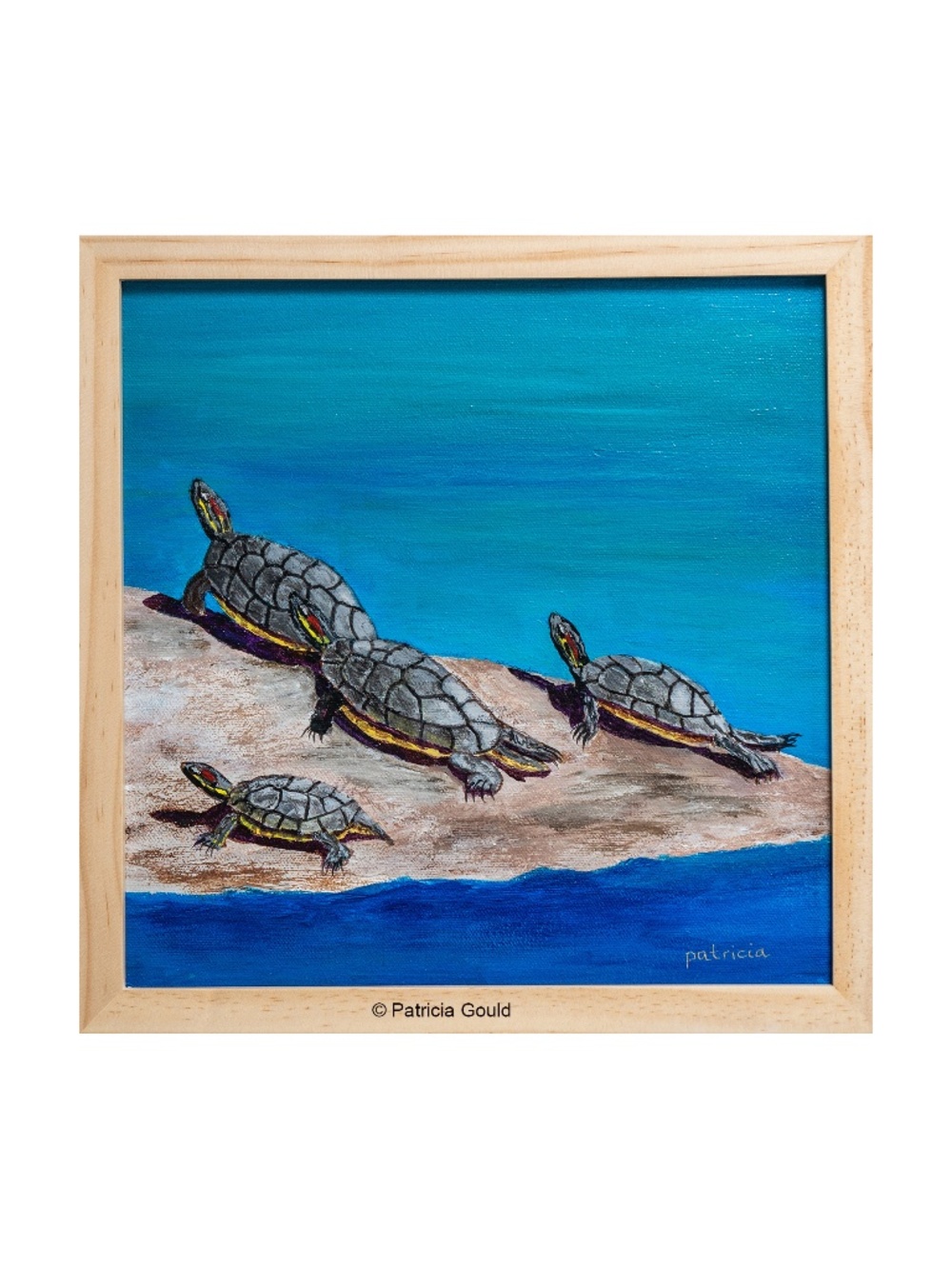 TORTUGAS TRANQUILLAS  - original acrylic on canvas painting
